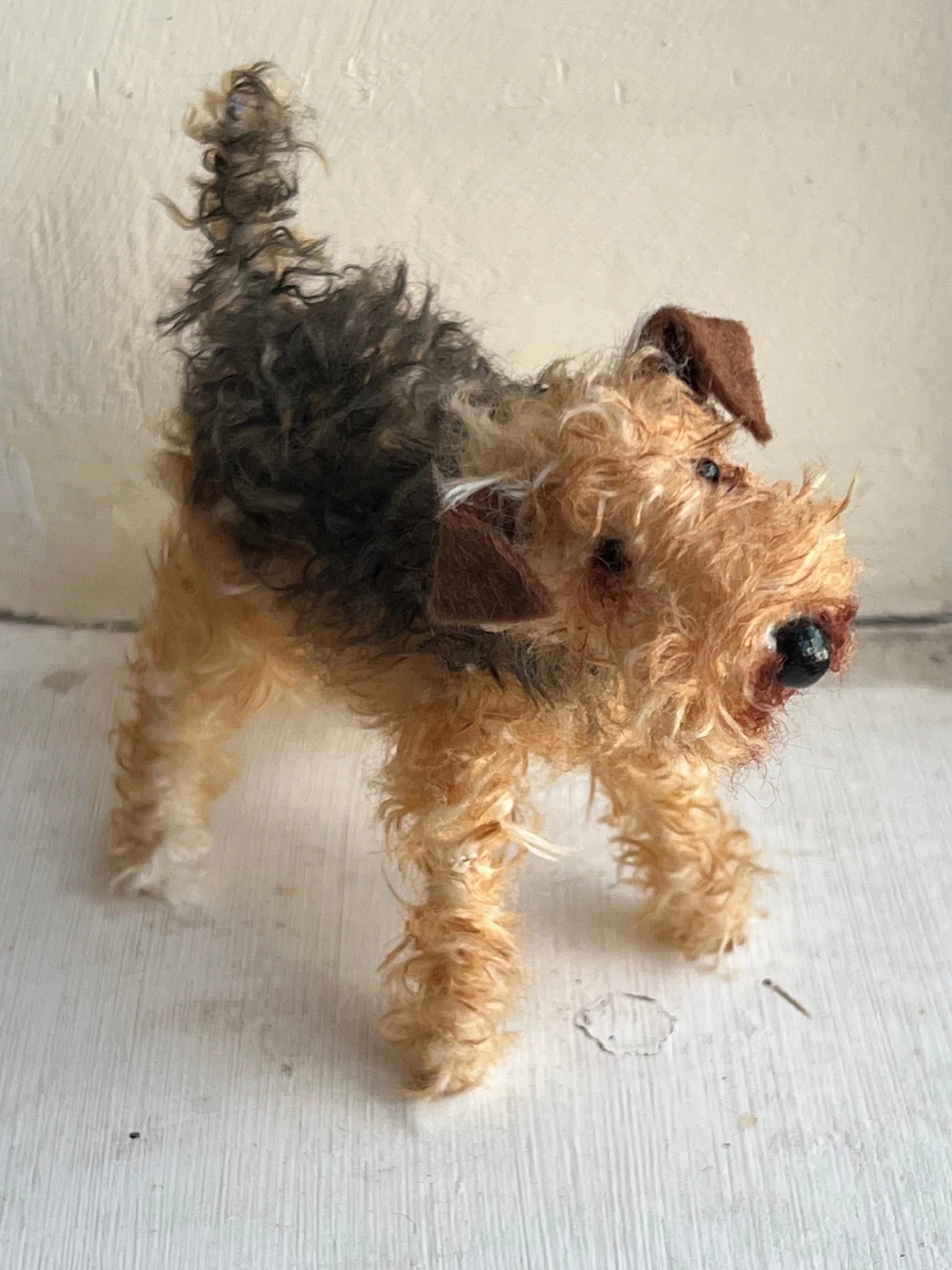 Airedale - Image 3