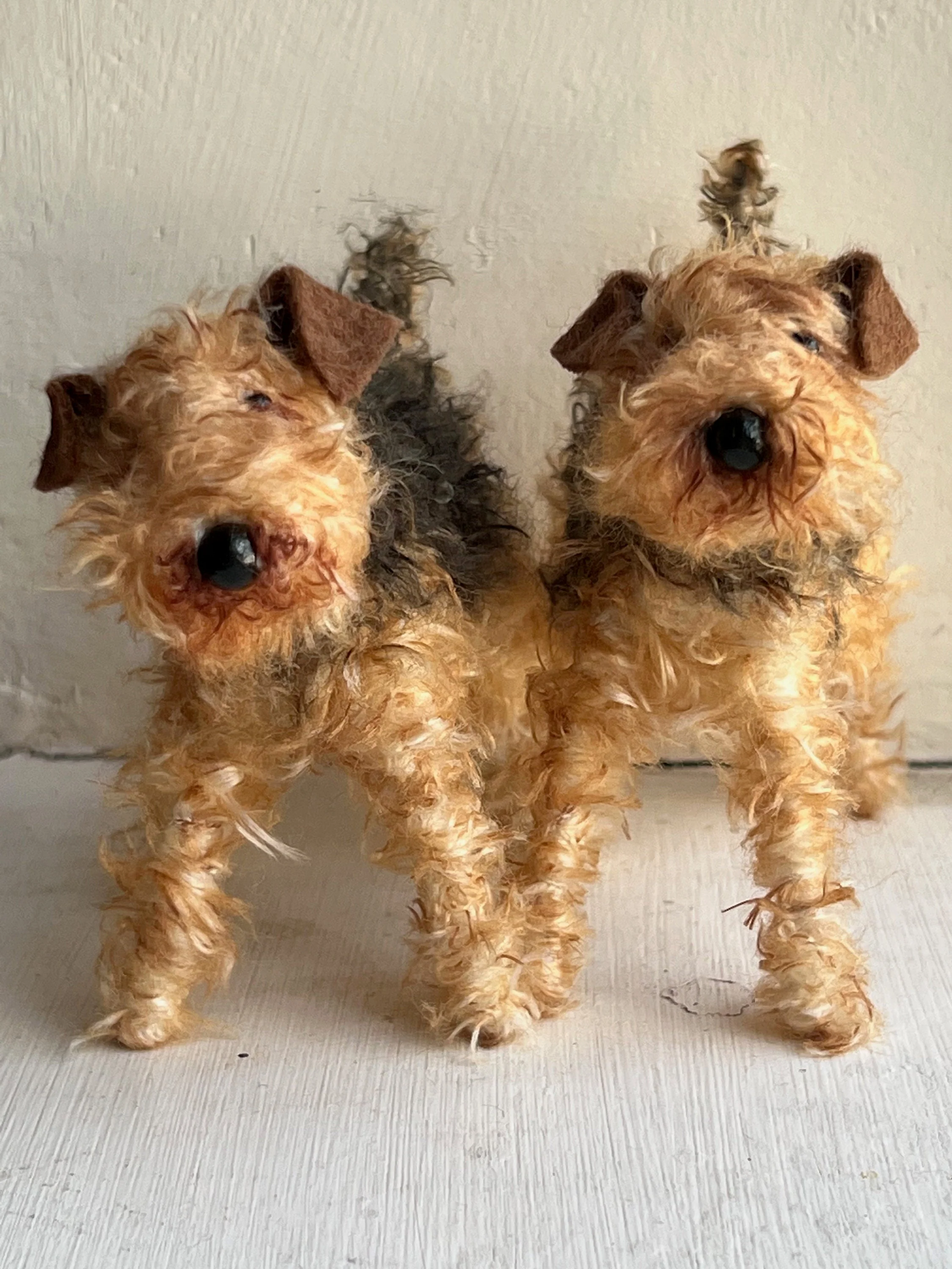 Airedale - Image 5