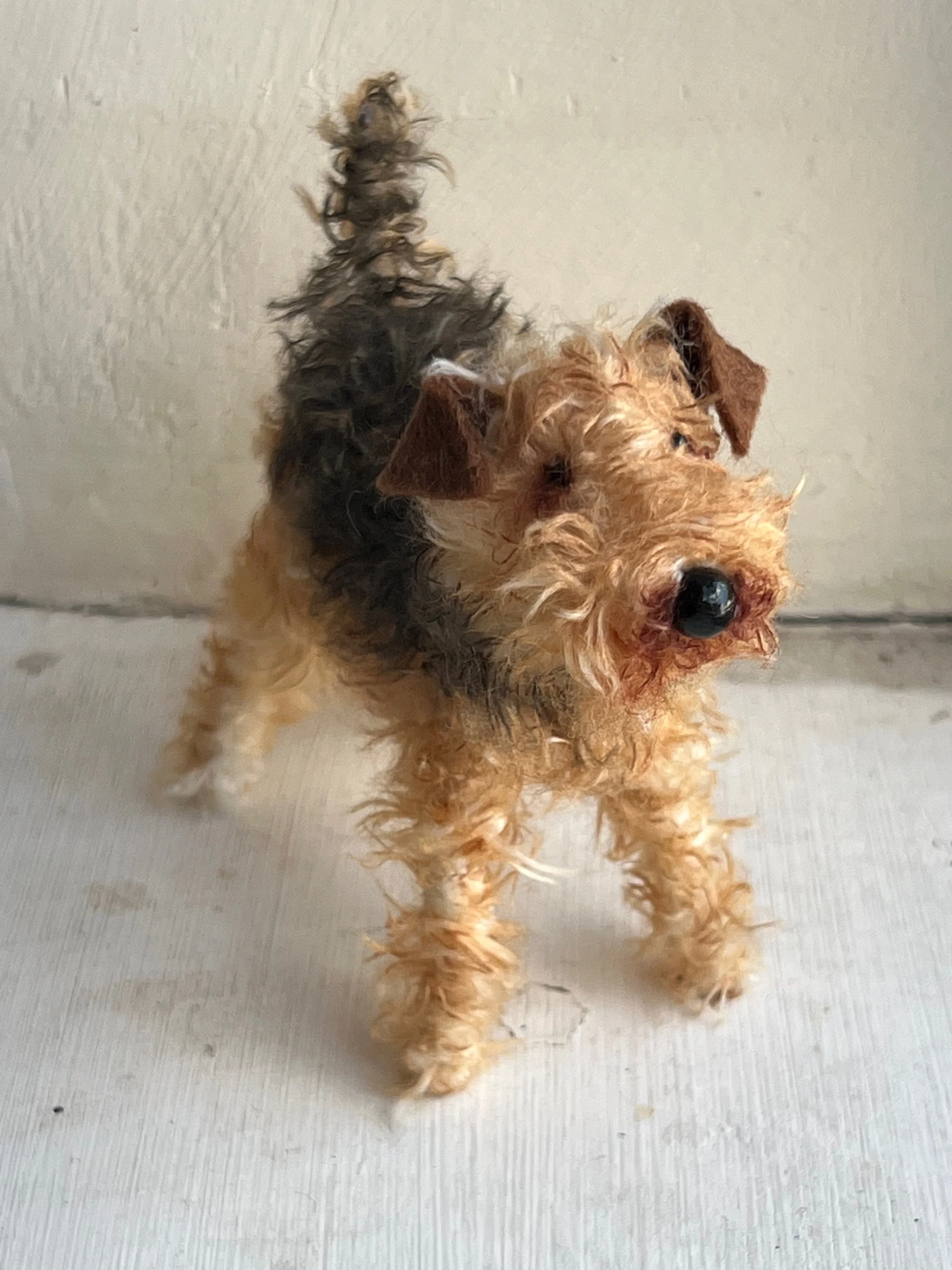 Airedale - Image 6