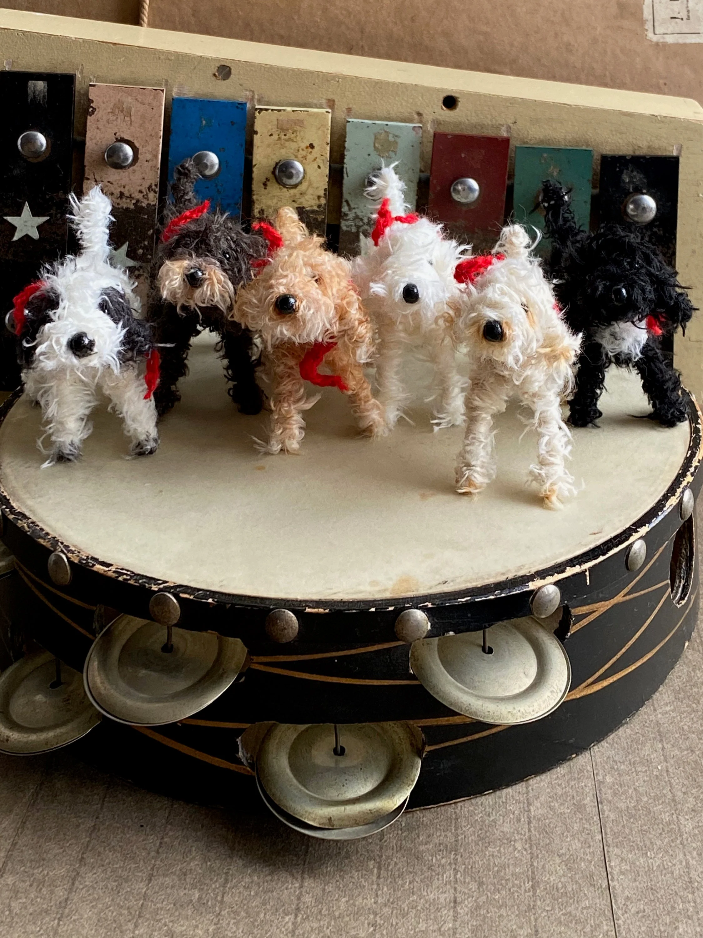 Apricot cockapoo, Apricot Cavachon, Apricot Labradoodle - Image 7