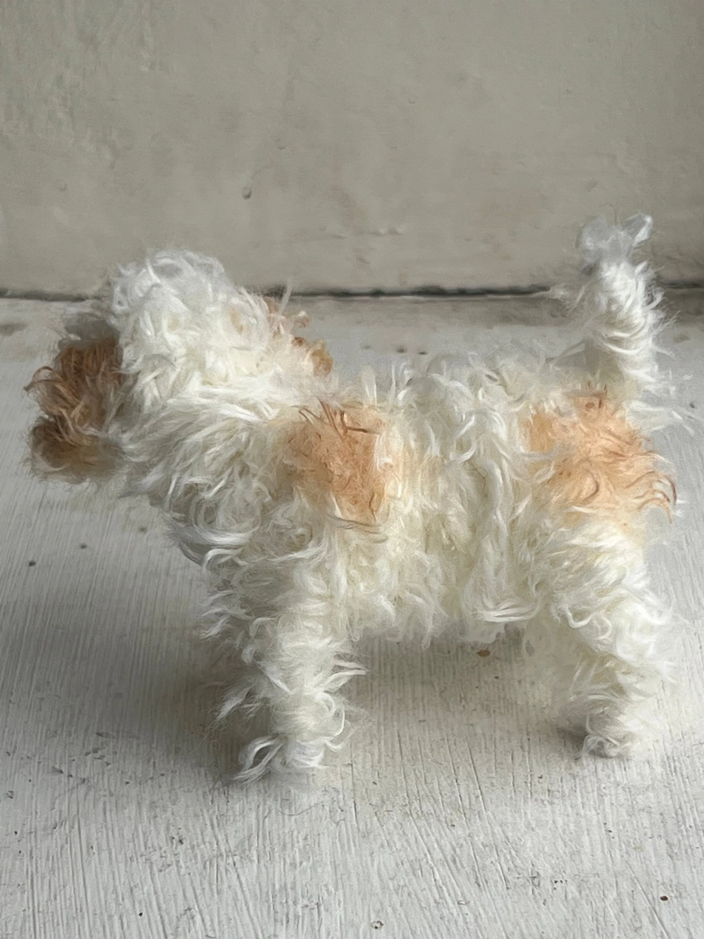 Cavachon decoration/miniature/ornament - Image 5