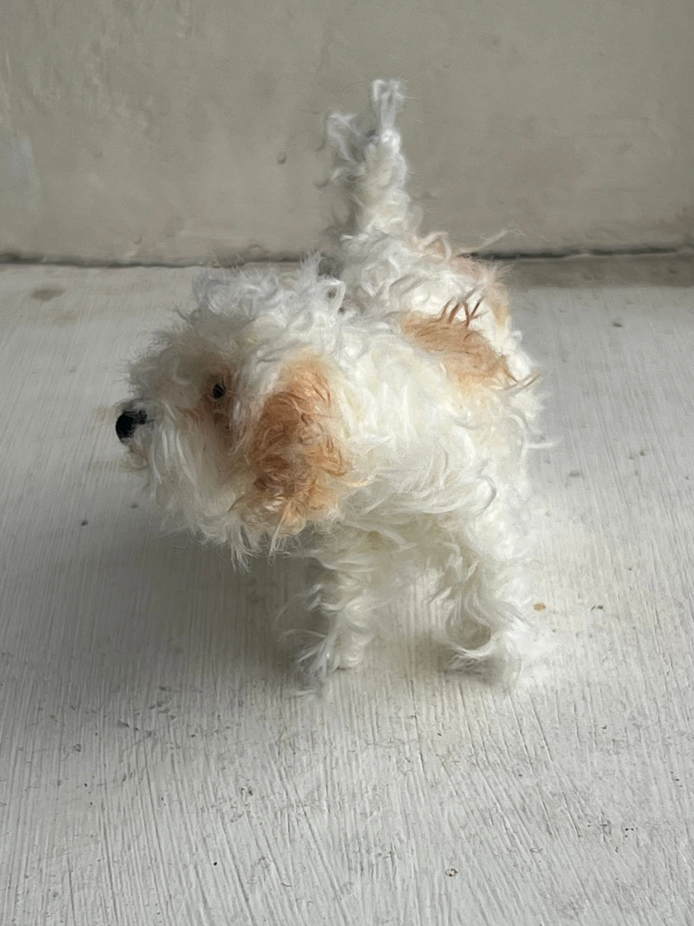 Cavachon decoration/miniature/ornament - Image 8