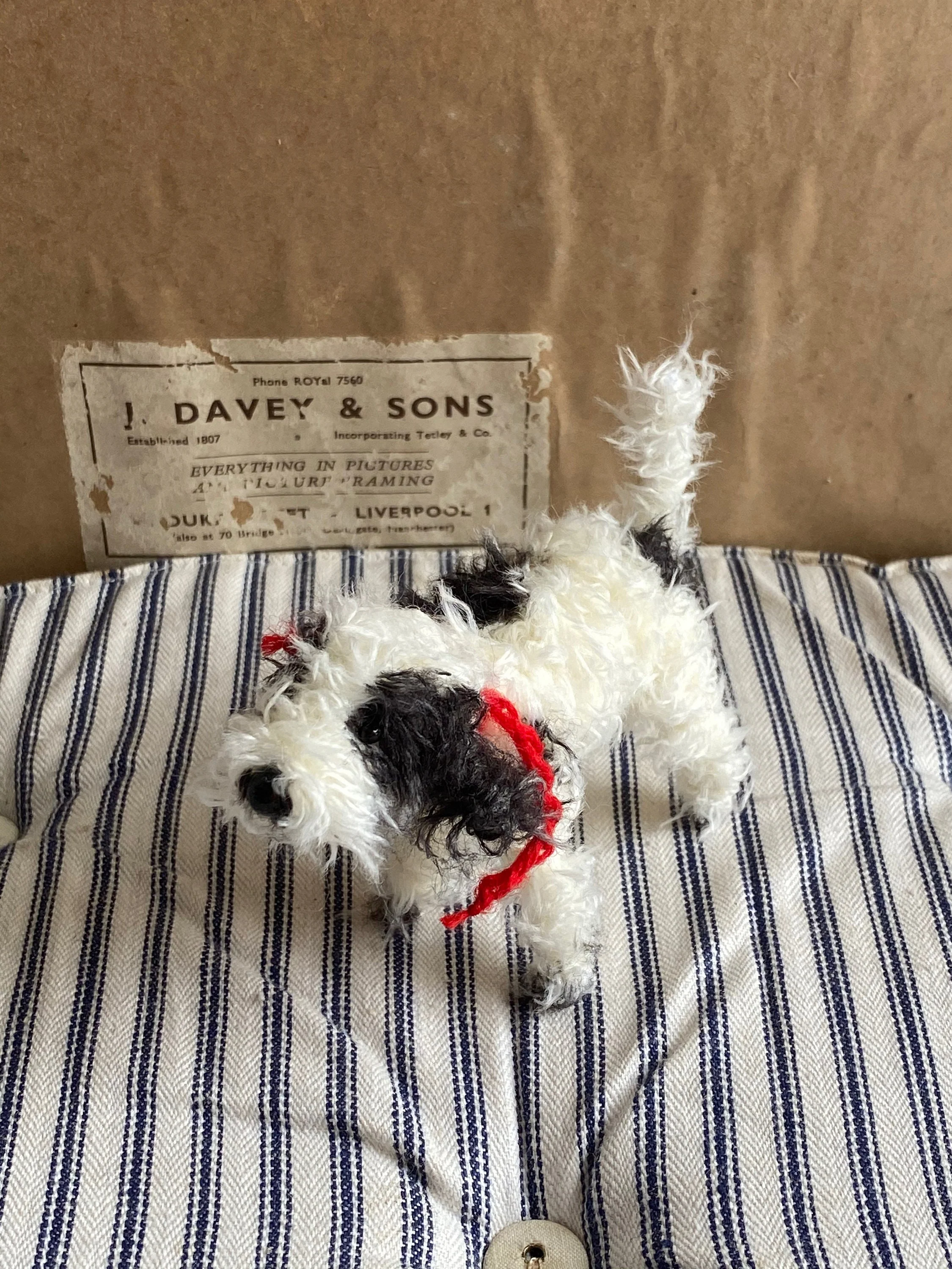 Handmade miniature black and white Cockapoo, Labradoodle, Cavapoo - Image 3