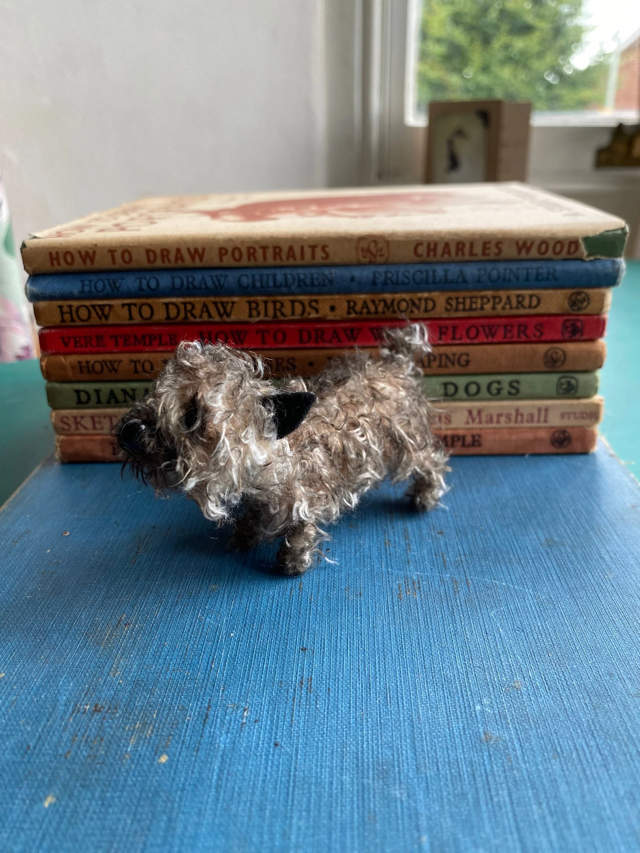 Miniature Cairn Terrier. - Image 2