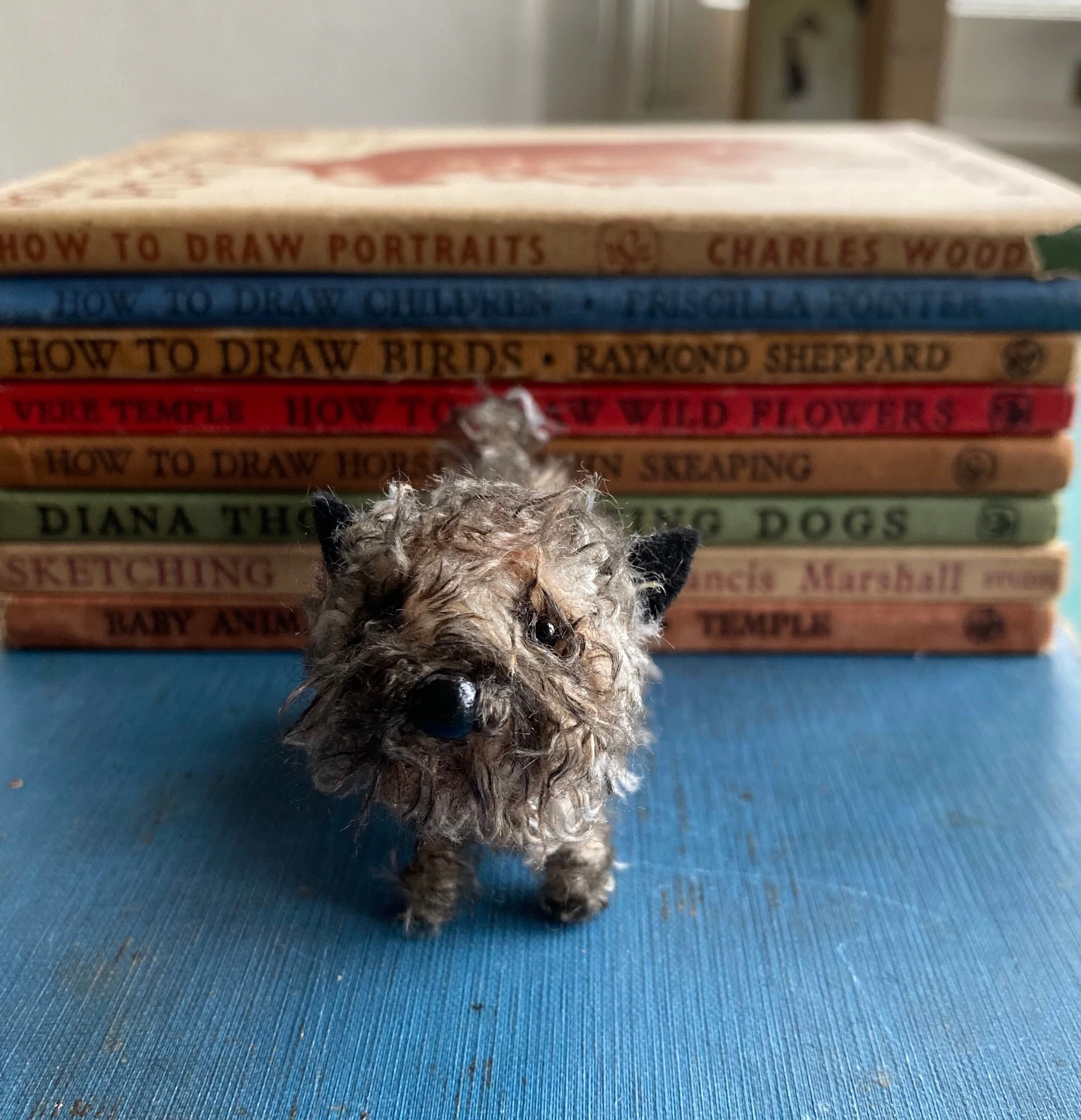 Miniature Cairn Terrier. - Image 3