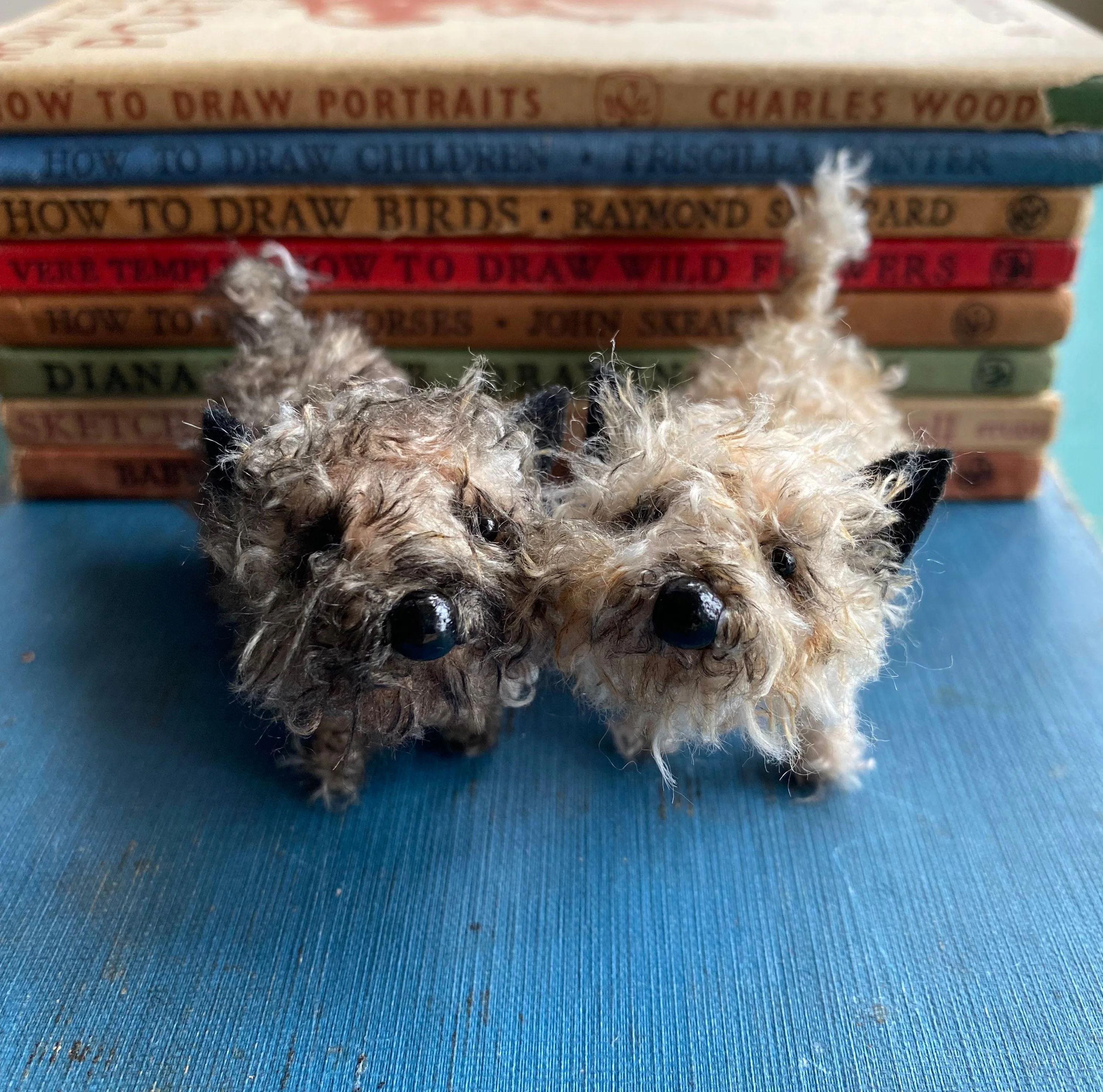 Miniature Cairn Terrier. - Image 7