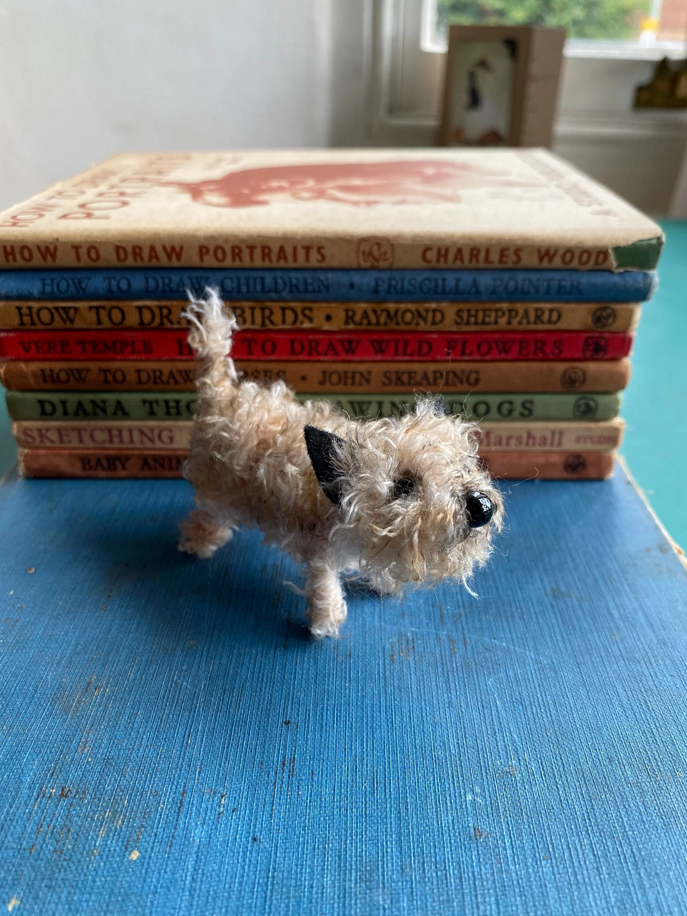 Pale cairn terrier - Image 2