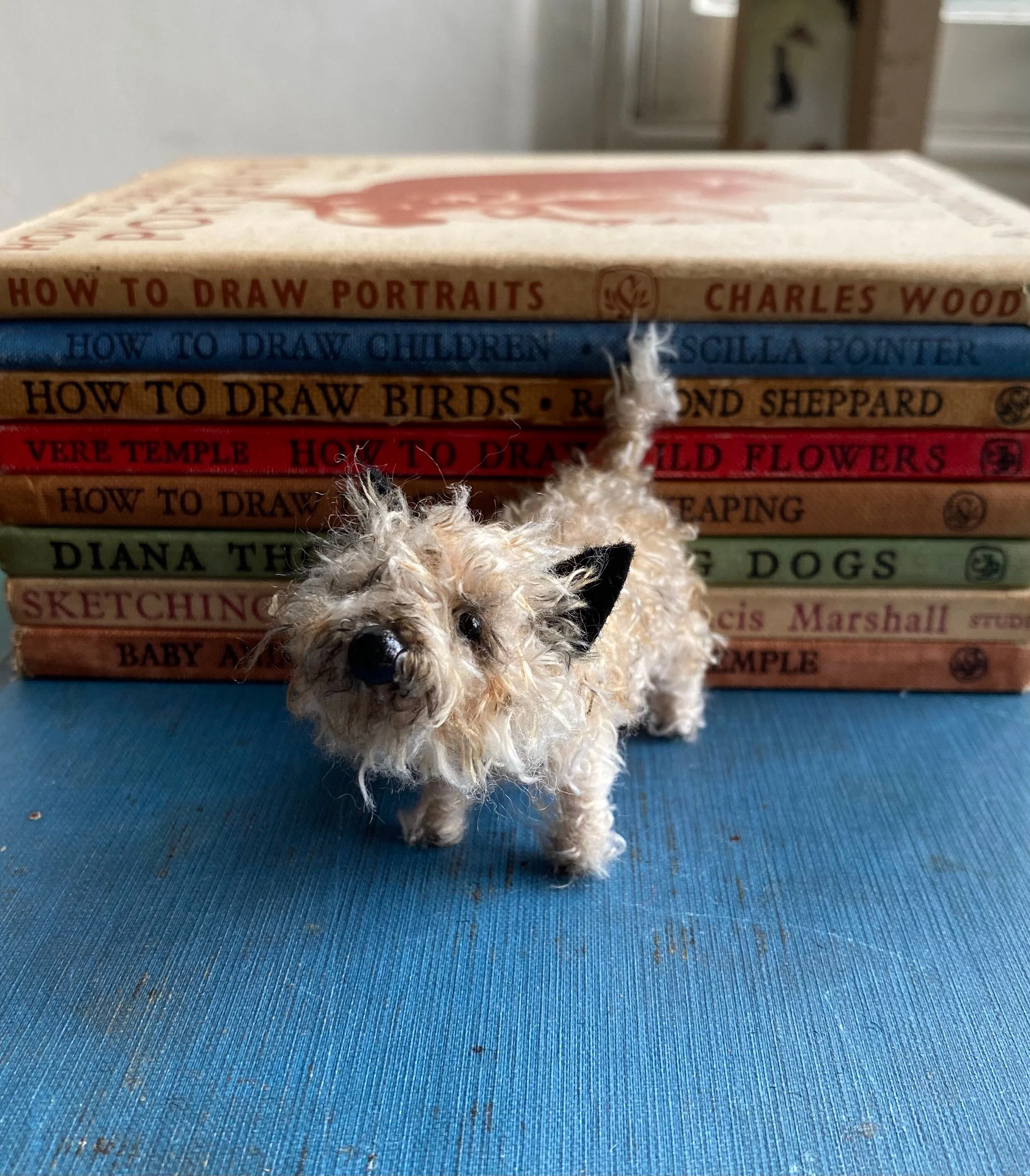 Pale cairn terrier - Image 3