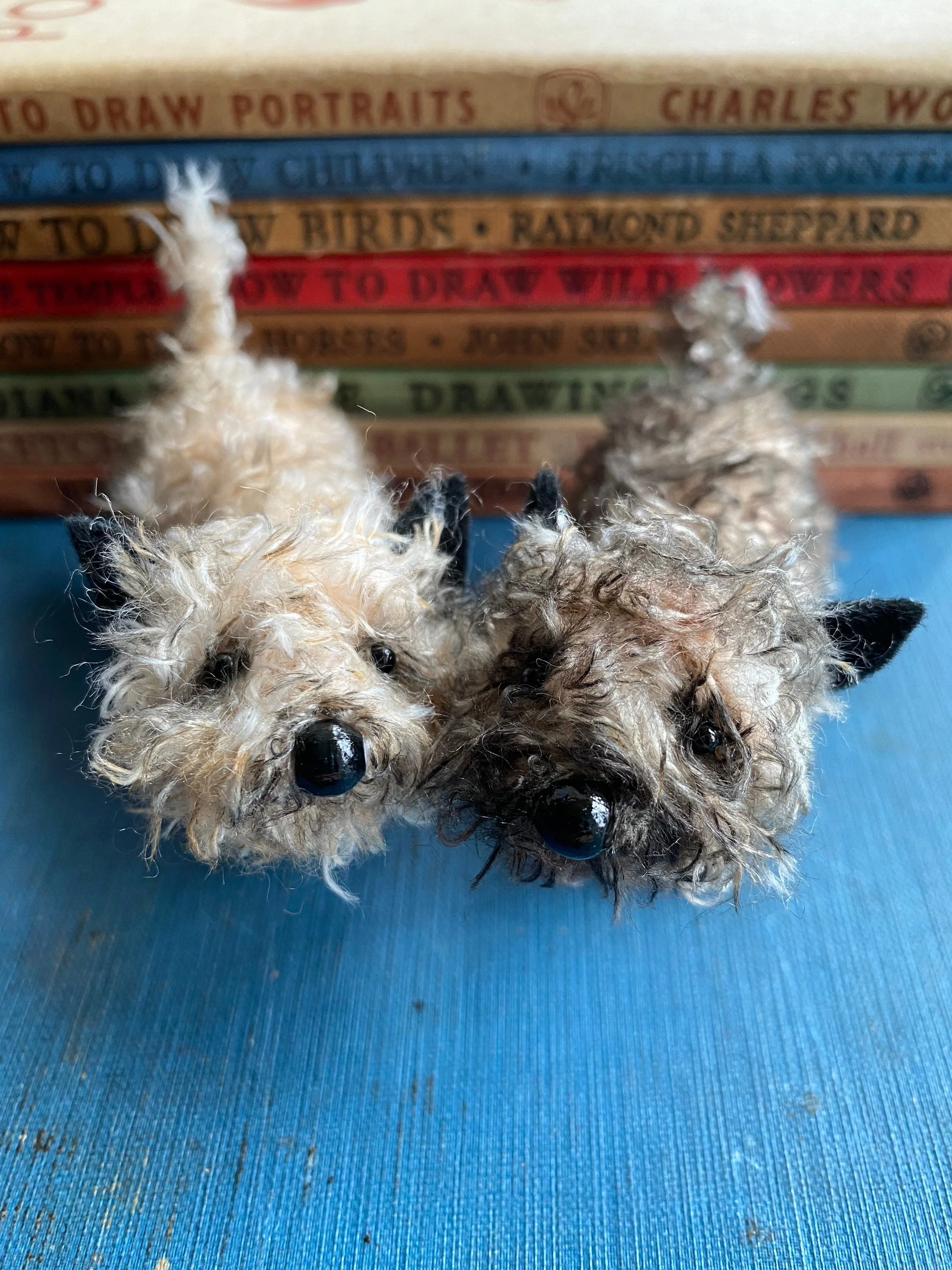 Pale cairn terrier - Image 6