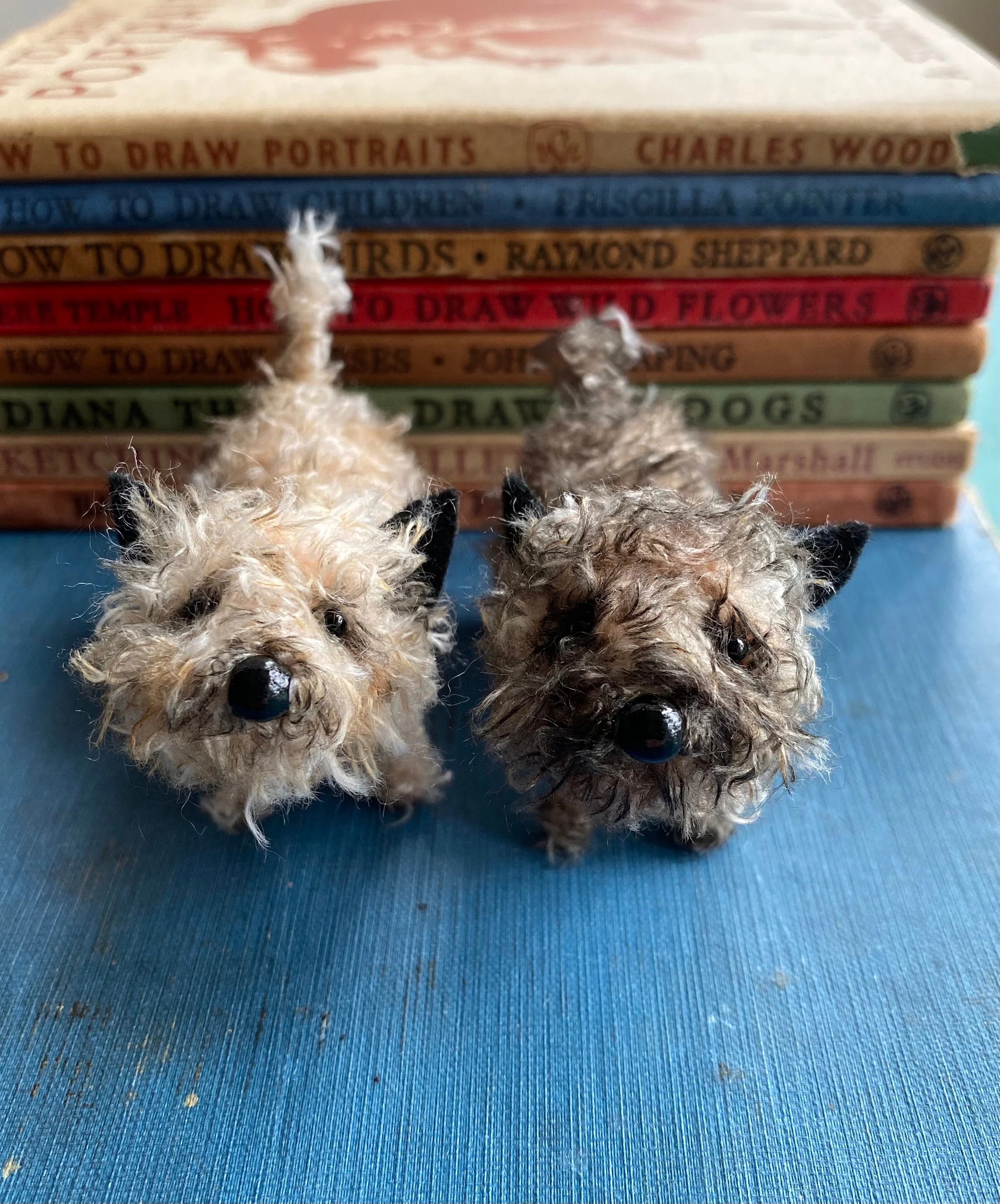 Pale cairn terrier - Image 7