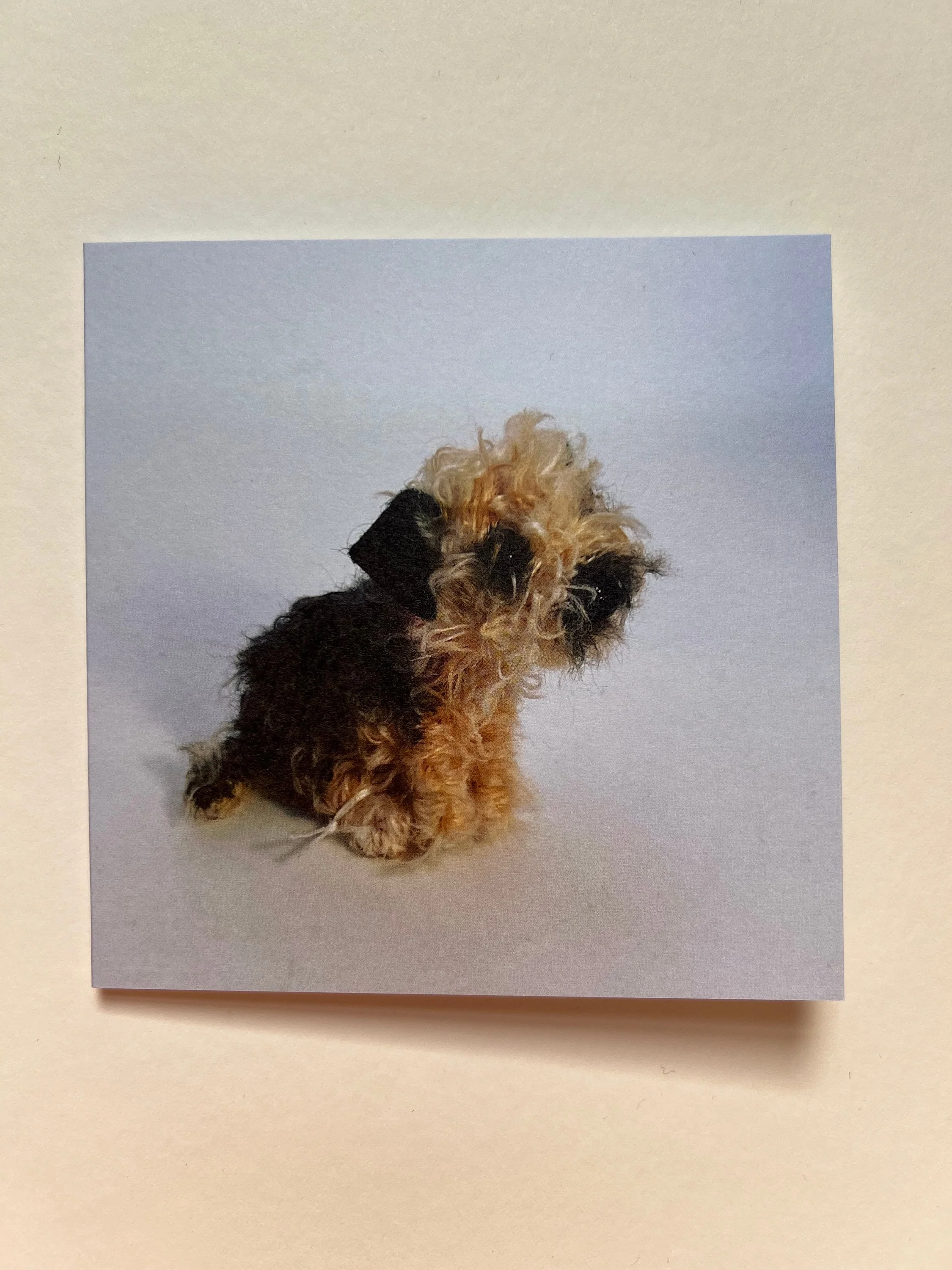 Set of 5 greeting cards - Image 3