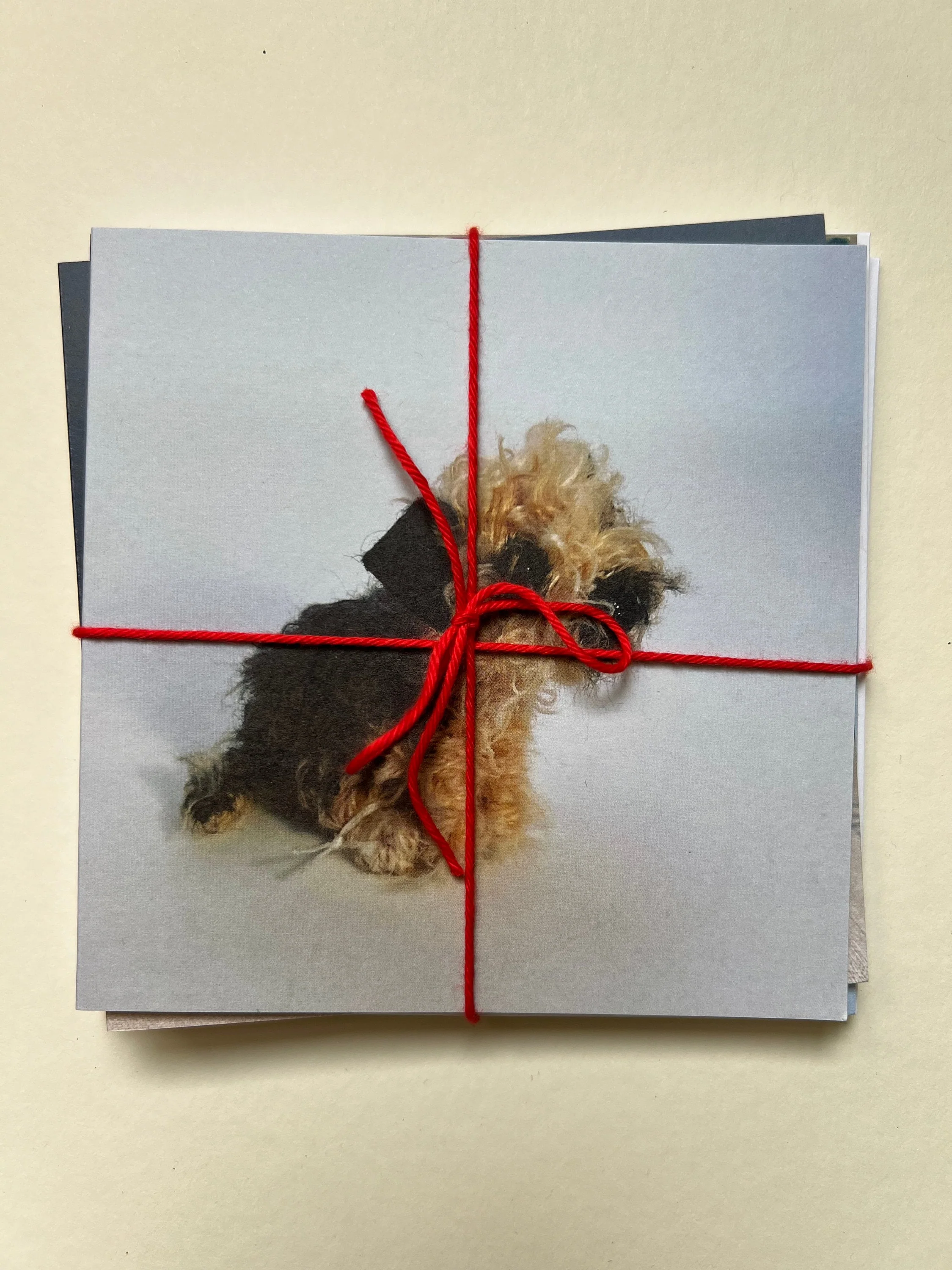 Set of 5 greeting cards - Image 7