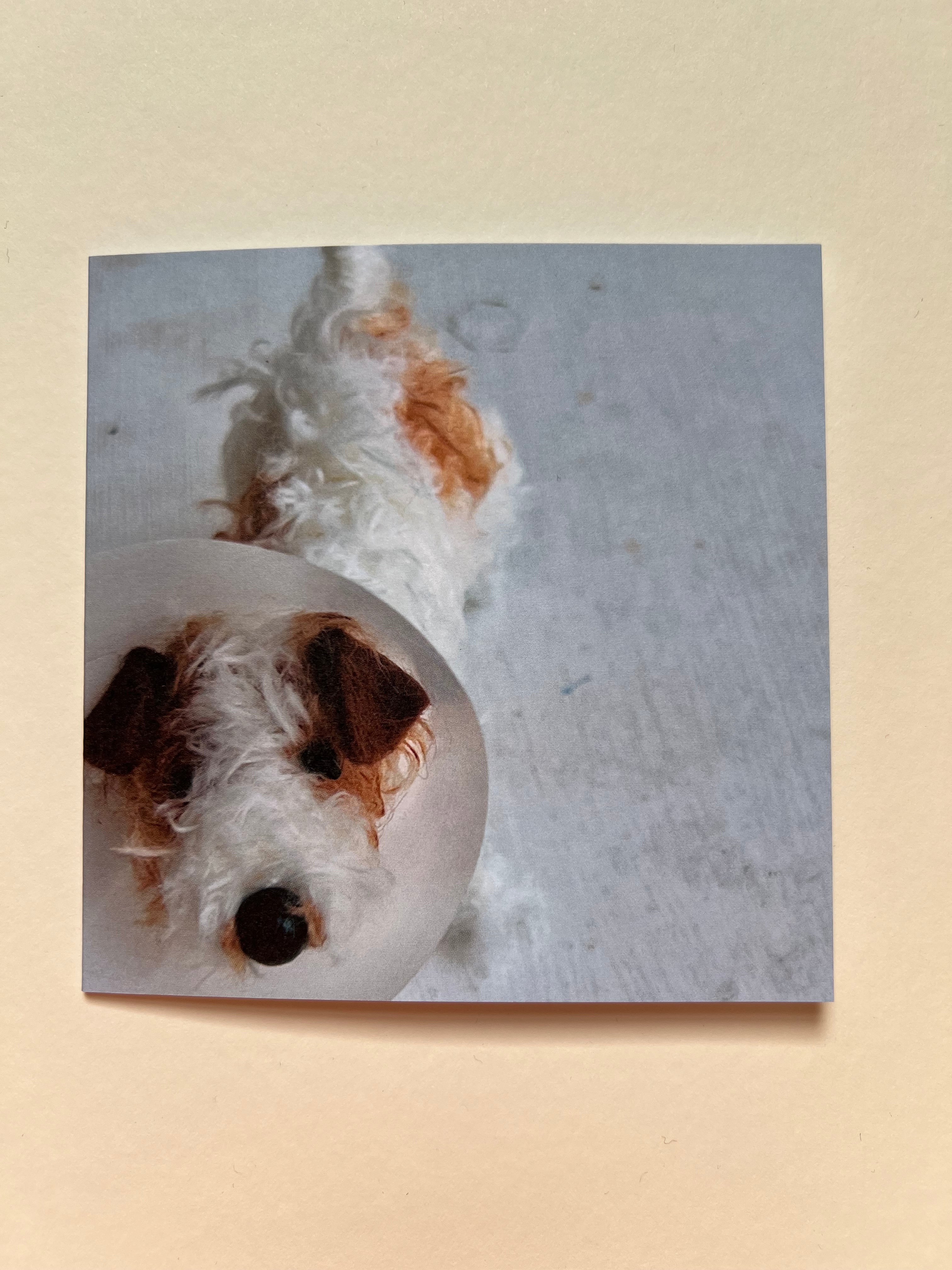Set of 5 greeting cards - Image 3