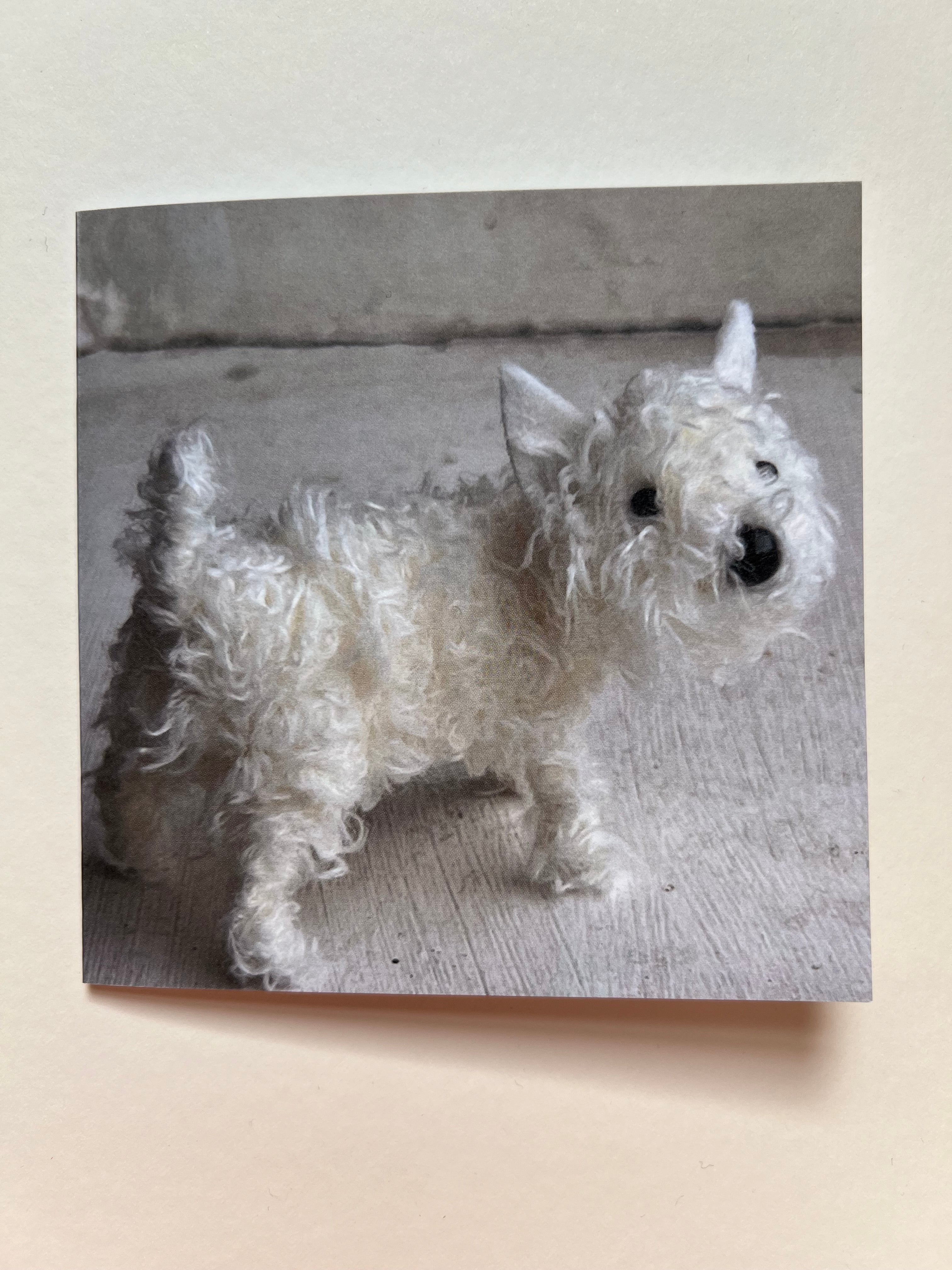 Set of 5 greeting cards - Image 6
